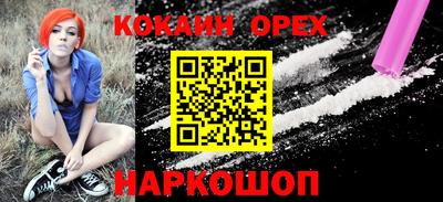гашик Ливны