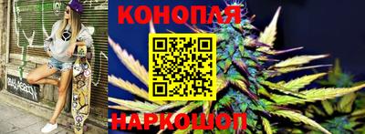 гашик Ливны