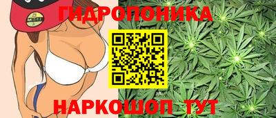 гашик Ливны