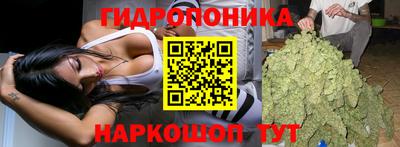 гашик Ливны