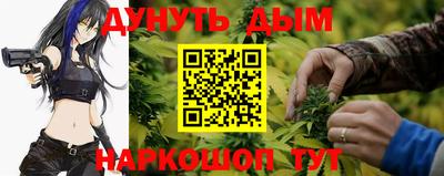 гашик Ливны