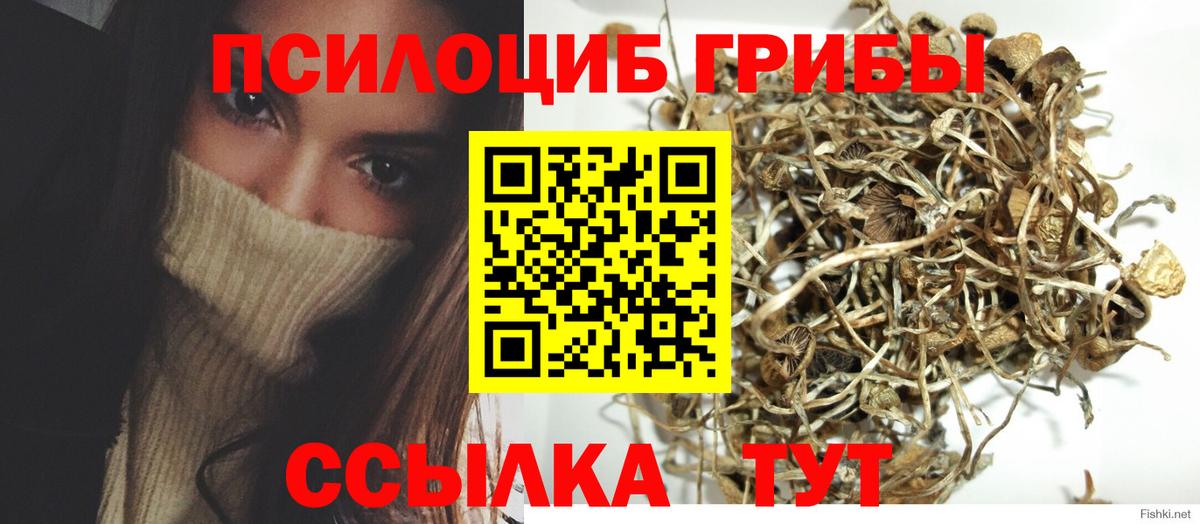 Псилоцибиновые грибы GOLDEN TEACHER  Вход с VPN  Великий Устюг 